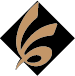 پیام مدیرعامل